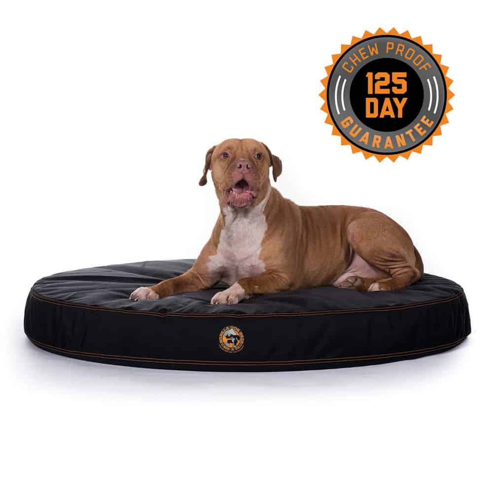 Chew Proof Ballistic Orthopedic Dog Bed | Gorilla Dog Beds